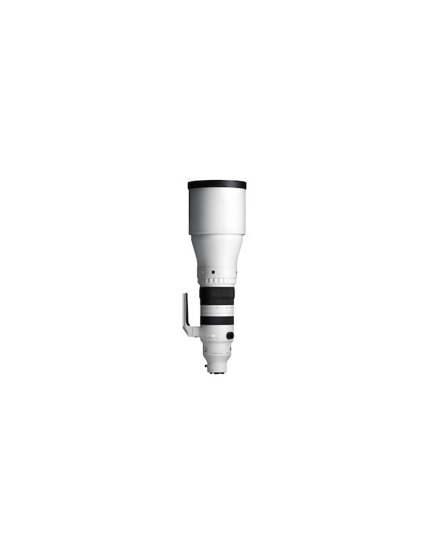 Sigma 300-600/4 DG OS Sport L-mount