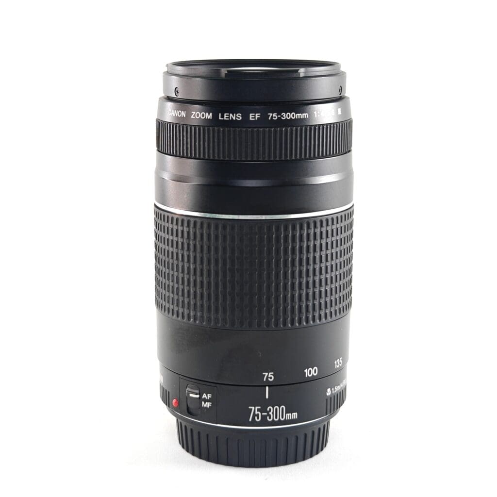 CANON EOS 75-300/4-5.6 - Usato