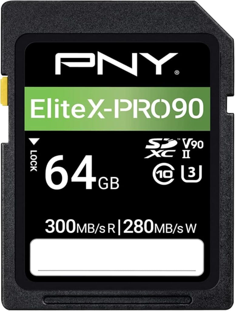 PNY Scheda di Memoria Flash SD 64GB EliteX-PRO 90 Classe 10 U3 V90 UHS-II